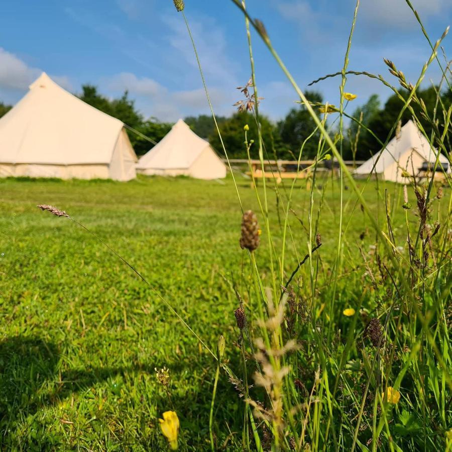 Bell Tent Glamping At Marwell Resort Winchester Zewnętrze zdjęcie